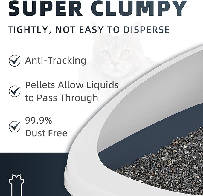 Natural Sodium-Based Raw Mineral Cat Litter | Dust-Free, Ultra Absorbent, Odor Control | Eco-Friendly, Low Tracking, Clumping Cat Litter (2 * 9.9LBS_Black Diamond)
