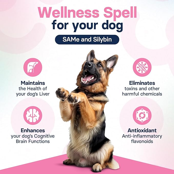 Liver Health Supplement for Large Dogs - Milk Thistle for Dogs Liver Support with S-Adenosylmethionine (Same) & Silybin - 30 Tablets