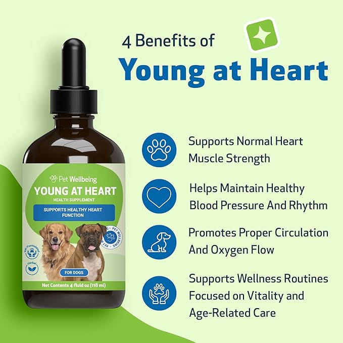 Pet Wellbeing Young at Heart for Dogs - Heart Health, Circulatory & Cardiovascular System, Hawthorn, Motherwort, Schisandra - Veterinarian-Formulated Herbal Supplement 4 fl oz (118 ml)