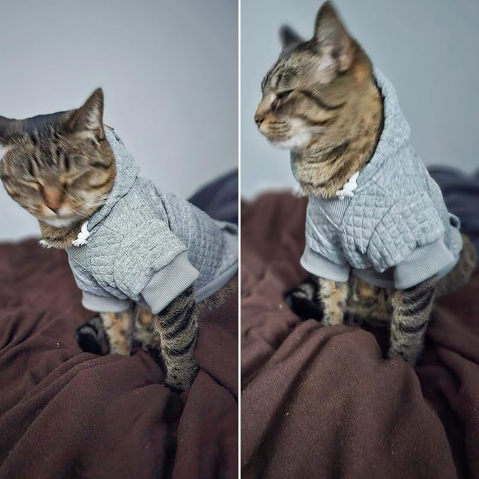 BEAUTYZOO Small Dog Hoodie Sweater with Pockets, Dog Clothes for Small Medium Dogs Boy Girl, Waffle-like Laminated Cotton Pet Coats with Hat and Leash Hole, All Weather Coat for Puppy Doggie Chihuahua