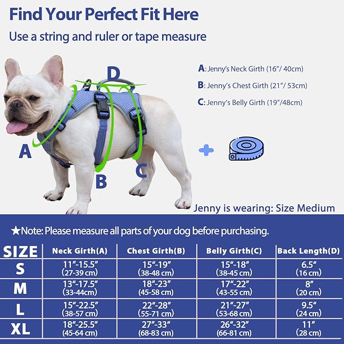 Huntboo Escape Proof Dog Harness, Escape Artist Harness, Reflective Dog Harness with Handle, Durable,Adjustable Vest for Small Medium Large Dogs Walking, Training, and Running Gear(Technicolor Blue,L)