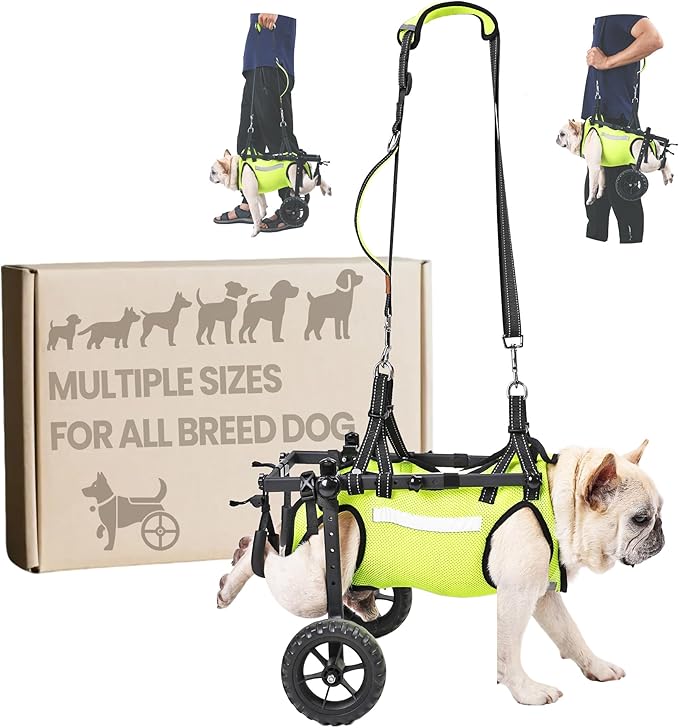 Upgraded Dog Wheelchair for Back Legs - Lightweight Mobility Cart for Small Breed Dogs with Disabled, Injured, or Arthritic Hind Legs - Includes High-Visibility Vest, Leash & Sling Lift -Medium