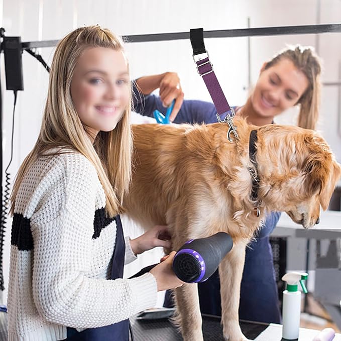 Pet Dog Grooming Loops Adjustable Nylon Restraint Loop Table Arm Accessories Extension Straps Extender Strap for Dogs Grooming Table Bathtub Trimming (Sky Blue & Black)