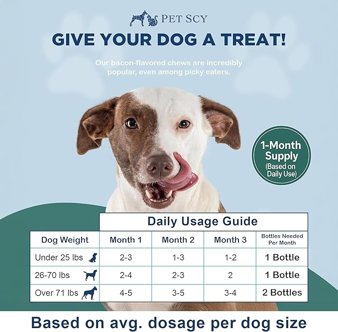 PetScy Itch & Allergy Plus Chews for Dogs Itchy Skin, Ears & Paws | Probiotics, Moringa & Turmeric | Dog Allergy Relief for Skin Redness, Hair Loss Gut & Digestive Health - Bacon Flavor - 60 Chews