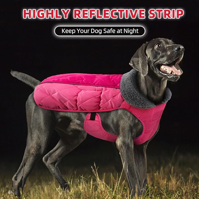 Doglay Dog Coat, Waterproof Dog Jacket Pet Winter Coat for Cold Weather with Thicken Furry Collar, Reflective Puppy Winter Jacket Warm Fleece Lining for Small Medium Large Pets