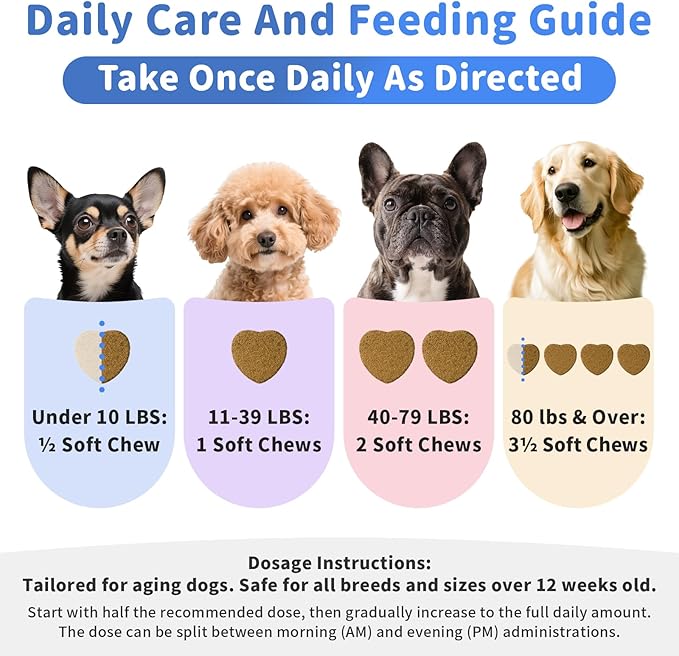 Senior Dog Joint Supplement, 17-in-1 Glucosamine for Dogs with Chondroitin, MSM, Pea, CoQ10, Omega-3, Hip and Joint Chews for Dogs – Beef Flavor – 90 Soft Chews – for All Breeds & Sizes