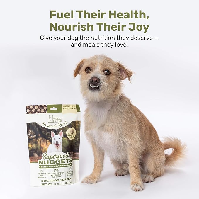 Superfood Nuggets- Premium, Freeze-Dried raw Dog Food Topper or Treat. Powerful Nutrient-Dense Ingredients. No Artificial additives. Beef Tripe and Kale Formula 8oz - 4pk Bundle