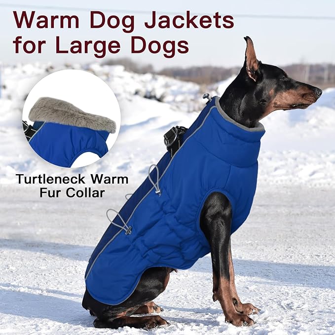 Medium Dog Coat - Warm Zip Up Snowsuit Dog Harness Vest, Reflective, Water-Resistant, Royal-Blue