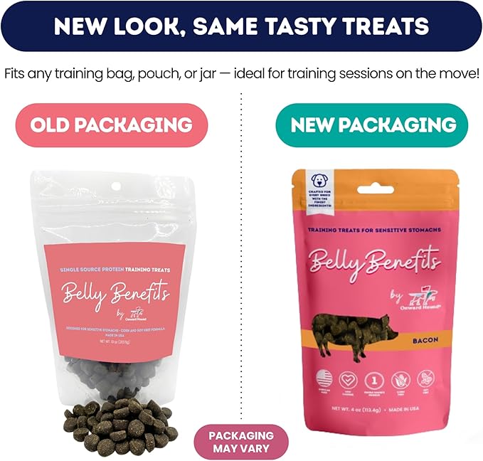 Training Treats for Dogs - Soft Salmon - Low Calorie Dog Training Treats for Sensitive Stomachs with Single Source Premium Protein, Corn Free, & Soy Free Formula - 4 oz