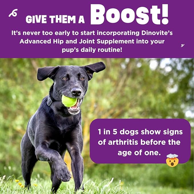 Dinovite BeneBoost Hip & Joint Liquid Topper for Dogs, Dog Joint Supplement with Glucosamine, Chondroitin, MSM & Hyaluronic Acid, Dog Mobility Support, Bacon Flavor, 6 fl oz