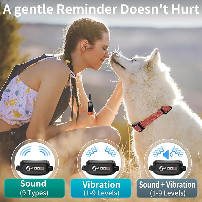 PaiPaitek Dog Vibration Collar with Controller for 2 Dogs No Shock, 9 Types of Beeps and Vibrations, 3300ft Range & Upgraded Waterproof Training Collar for Dogs 5-120lbs - No Prongs