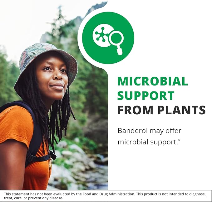 NutraMedix Daily Immune Support Supplement - Banderol Herbal Supplements for Immune System Support - Vegan Tincture - Bioavailable Otoba Bark Extract Liquid Drops (1 oz/30 ml)