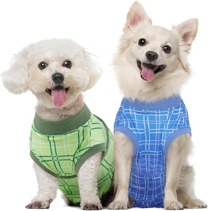 Kuoser Dog Recovery Suit for Female Male Dogs, Post-Surgery Bodysuit for Spay Neuter, Dog Onesie After Surgery, Anti-Licking Pet Surgical Recovery Suit, Blue XS