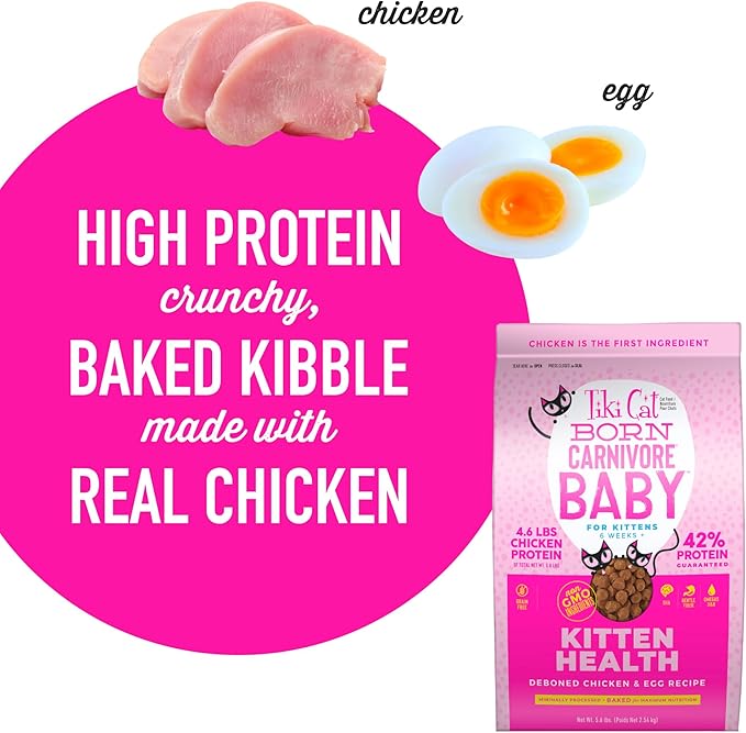 Tiki Cat Born Carnivore Baby, High-Protein and Grain-Free, Complete and Balanced Dry Cat Food for Kittens 6 Weeks+, 5.6 lbs. Bag