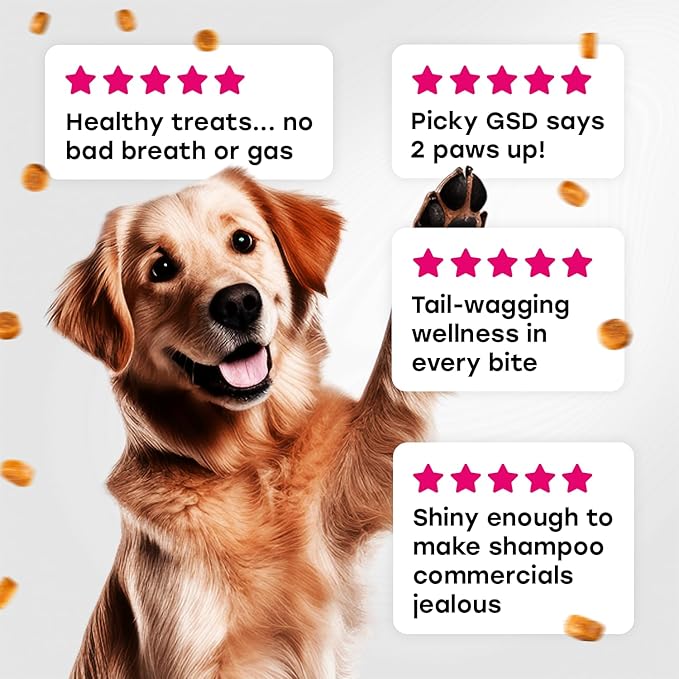 24-in-1 Complete Multivitamin Treats for Dogs - PhD Endorsed 8 Vitamins, Biotin, Probiotics, Glucosamine - Daily Wellness, Immunity, Skin & Coat, Mobility 140 Treats - Beef Flavor - Made in USA