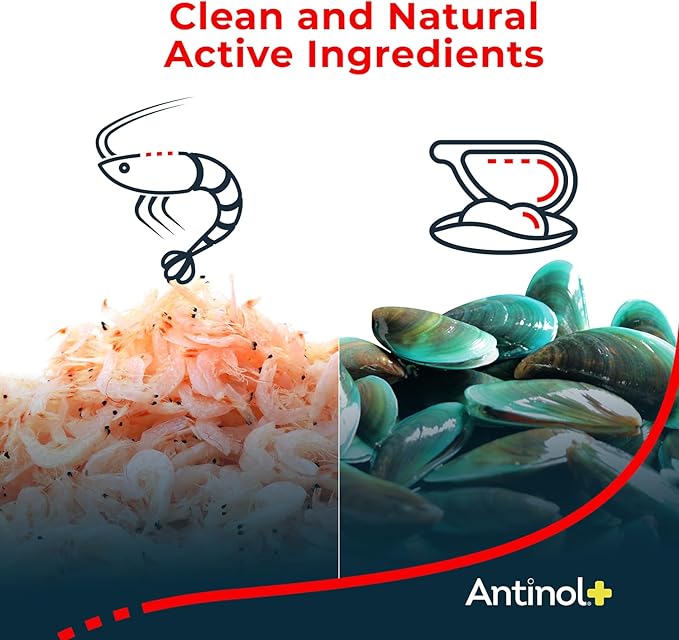 Antinol Plus, Mobility, Hip, and Joint Supplement for Dogs, Green-Lipped Mussels and Krill Oil - Dog Joint Supplement, Better and Faster Than Glucosamine and Chondroitin, 60 Soft Gels
