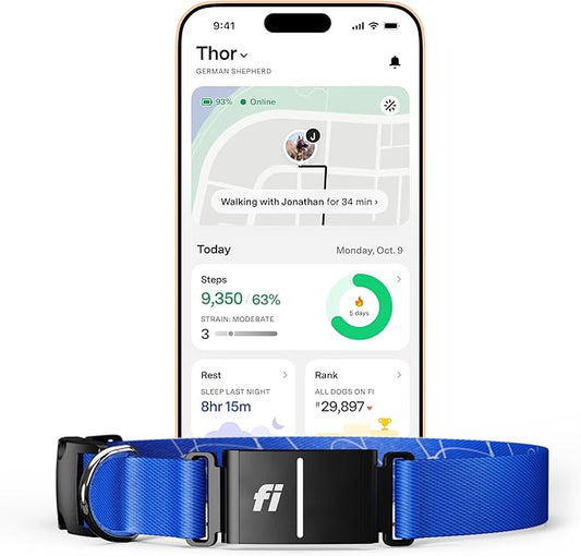 New Fi Series 3+ Smart Dog Tracker Collar – AI GPS for Dogs, Health & Behavior Monitor, Virtual Fence, Escape Alerts, Waterproof, Apple Watch Compatible [12Mo Membership Included] (Blue, Large)