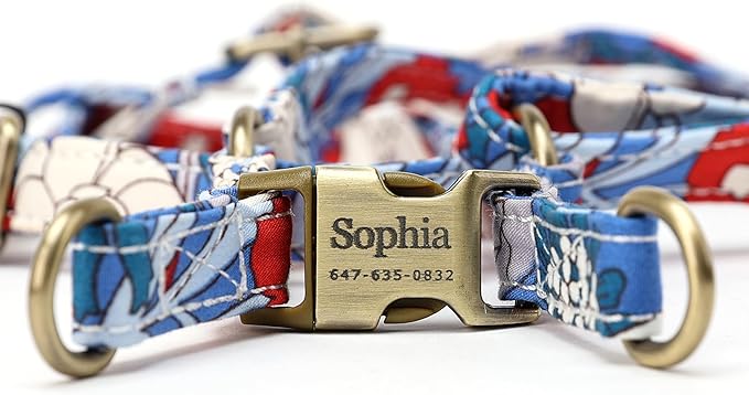 Angie and Allie Organic Cotton Personalized Step in Dog Harness,Custom Dog Halter Vests,Adjustable No Pull Canine Halter Harness for Small Medium Large Dogs