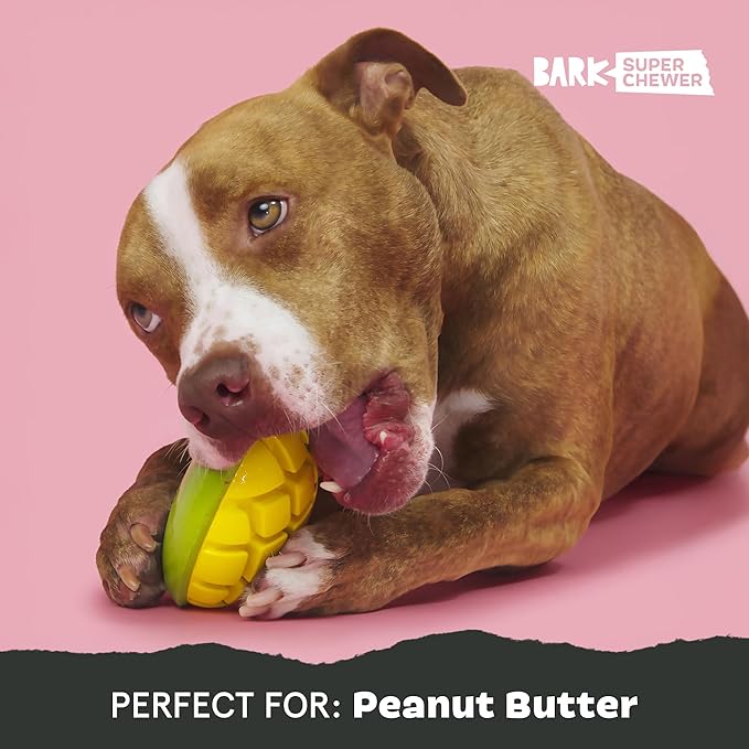 Barkbox Go Mango Tough Squeaky Rubber Dog Toy - Candy-Scented, Durable Design for Long-Lasting, Squeaky Fun - Large Breeds