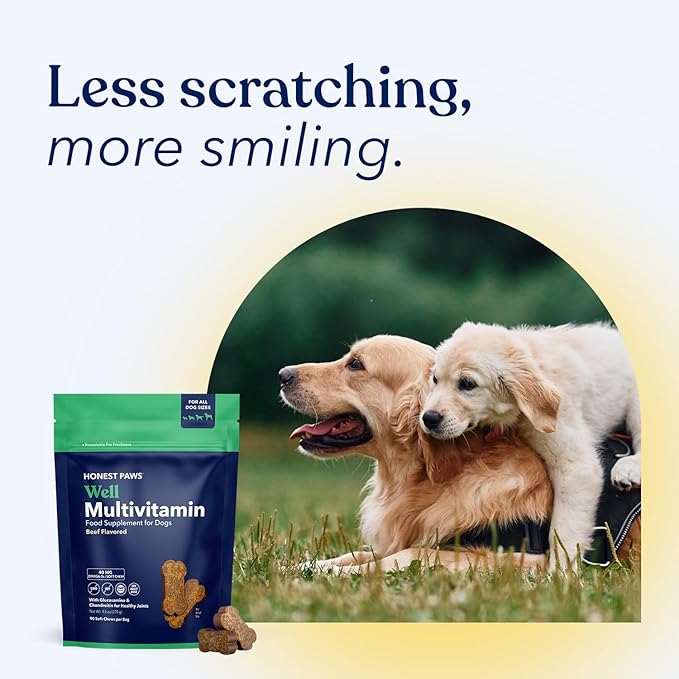 Honest Paws (90 Count) Dog Multivitamin Soft Chews with 10 Essential Vitamins - Joint, Coat, Immune, Eye & Heart Support - with Glucosamine, Chondroitin & Omega-3 - Beef Flavor
