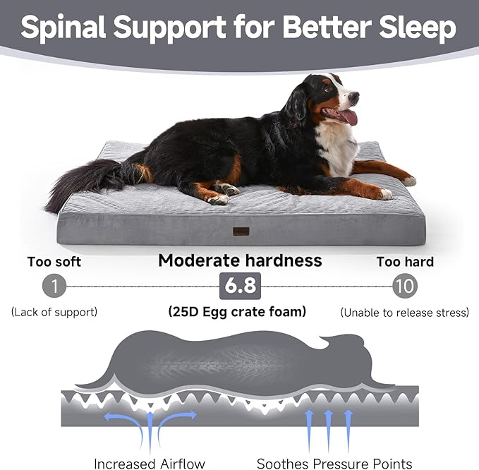 OhGeni Orthopedic Waterproof & Machine Washable Dog Bed for Extra Large Pets, Wider & Larger Size, Cat Mat with 25D Egg Crate Foam, Removable Cover, 54 Inches(Gray)