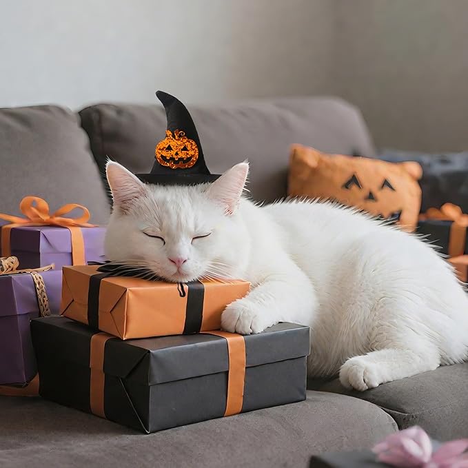 Halloween Pet Costume, Witch Hat for Cats Dogs, Black Adjustable Wizard Hat with Pumpkin Design, Witch Accessories for Small Medium Pets