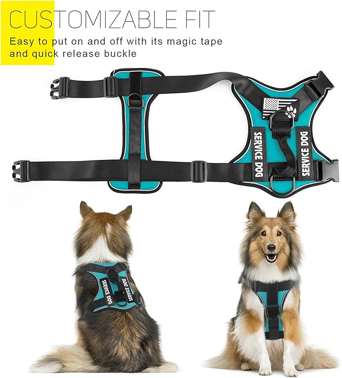 Demigreat Service Dog Harness, Reflective Dog Vest Harness with 5 PCS Patches, Adjustable Soft Oxford Pet Harness, Inner Layer Mesh, Easy to Control for Dogs