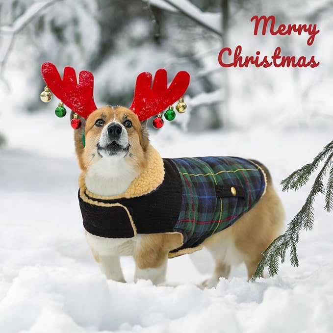 Queenmore Dog Winter Coat Warm Dog Jacket for Cold Weather, Quilting Puffer Plaid Coats for Small/Medium Dogs Waterproof,Girl/Boy Pet Christmas Coat,Pet Snowsuit with Leash Hole/Fleece Padding, S