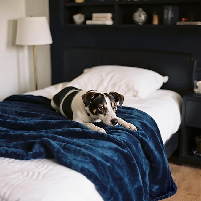 gogobunny Waterproof Bed Blanket, Reversible Sherpa Fleece Throw Blanket for Dog Puppy Cat, Furniture Cover Protects Bed Couch Sofa from Liquid Pee and Pet Fur (Navy Blue, 60x80 inches)