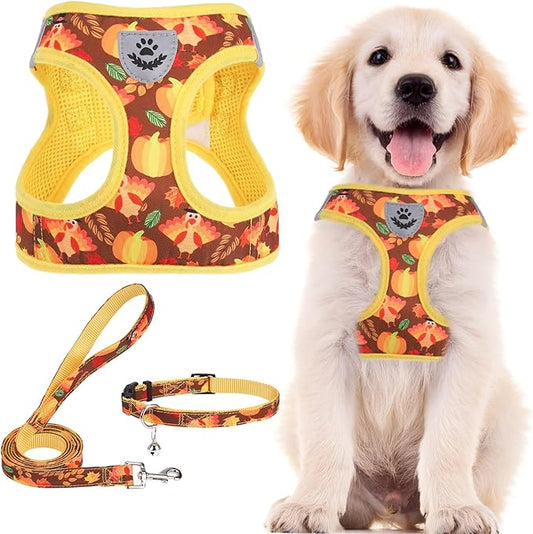 PUPTECK Adjustable Dog Harness Collar and Leash Set Step in No Pull Pet Harness for Small Medium Dogs Puppy and Cats Outdoor Walking Running, Soft Mesh Padded Reflective Vest Thanksgiving Harnesses