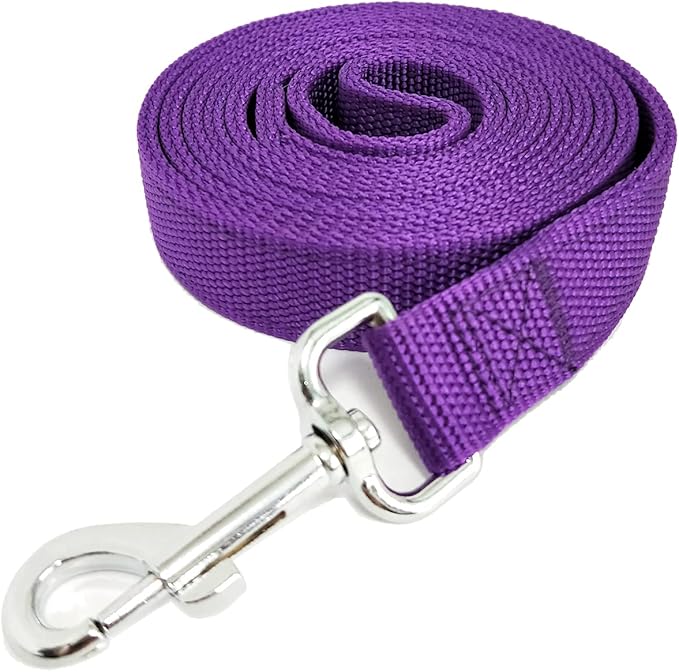 Strong Nylon Dog Leash with 2-Layer, 4 FT/ 6 Feet Long, 1 Inch Wide for Medium Large Dogs (1'' x 5 FT, Purple)
