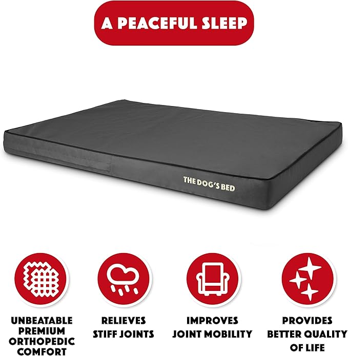 The Dog’s Bed Orthopedic Memory Foam Dog Bed, XXL Grey & Black, Waterproof, Supportive Dog Bed with Replaceable Covers