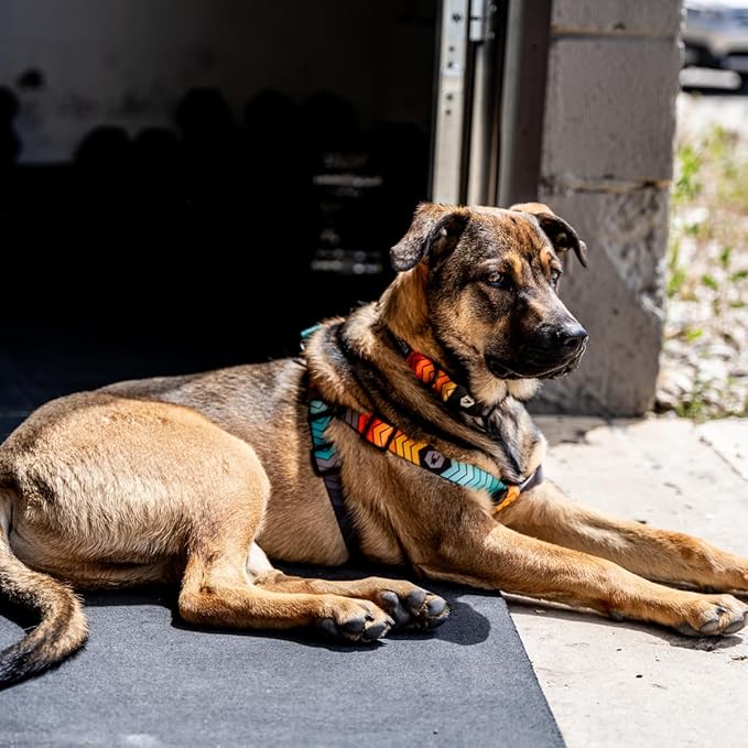 Wolfgang Heavy Duty Adjustable Dog Harness, Pull-Tested to Over 800 lbs for Walking & Training, ChevTech Print, Small