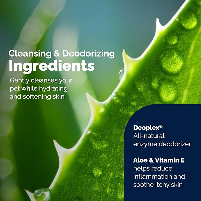 Vetnique Labs Glandex Dog Wipes for Pets Cleansing & Deodorizing Anal Gland Hygienic Dog & Cat Wipes with Vitamin E, Skin Conditioners and Aloe (100ct Pouch)