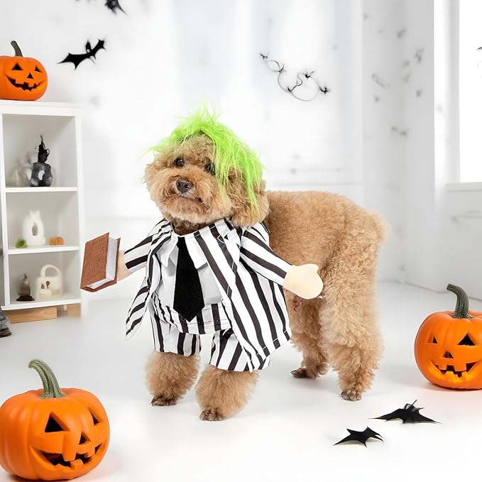 DELIFUR Dog Halloween Funny Costume - Pet Adorable Fantacy Clothes Cat Cosplay Apparel Dress Up for Medium Dog Funny Outfit Adjustable (Suit, Large)