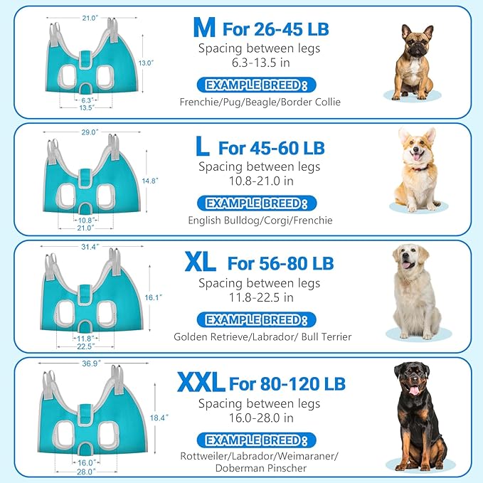 Supet Dog Grooming Hammock for Medium Dogs, Dog Hanging Harness for Nail Trimming Doorframe, Pet Holder Restraint for Clipping Nails, Pet Hoist Sling for Cutting Nails at Home (Blue M)