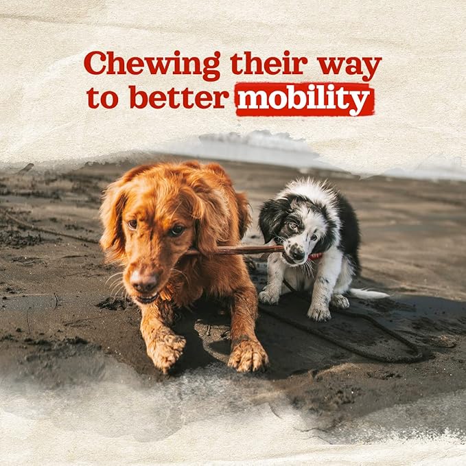 Natural Farm Odor-Free Collagen Chews, (12-Inch, 12-Pack), Long Lasting Bully Sticks & Rawhide Alternative Dog Treats, 95% Collagen, High Protein Best Dental Dog Treats – Medium & Large Dogs