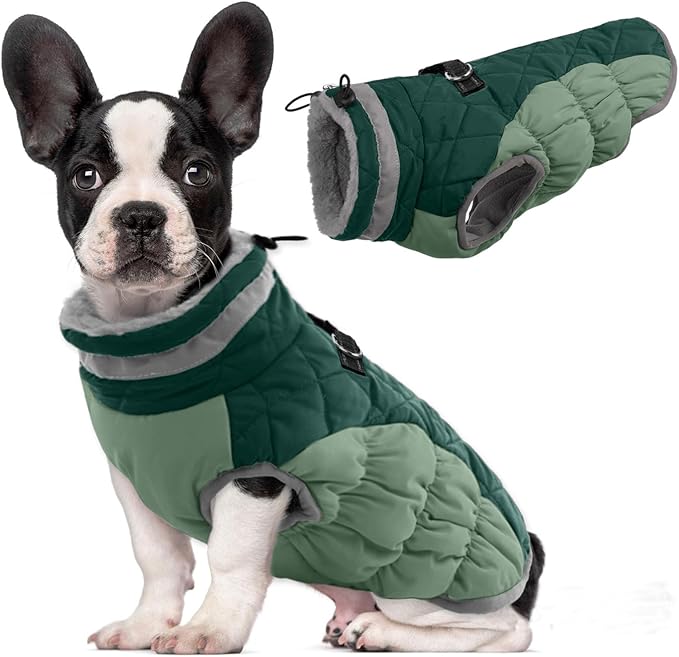 Lelepet Warm Dog Winter Coat Dog Coats for Medium Dogs Waterproof Dogs Jacket with Harness Built in Reflective Cold Weather Coats Windproof Zip-Up Winter Fleece Vest Snowsuit Dachshund Teal Green