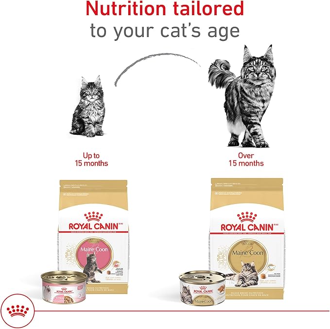 Royal Canin Feline Breed Nutrition Maine Coon Adult Dry Cat Food, 6 lb Bag
