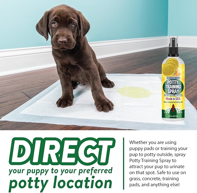 Bodhi Dog Potty Training Spray - Puppy & Dog Training Aid for Indoor & Outdoor Attractant Spray Use - Encourages Proper Dog Pee Here Habits - Safe for Pets & Home - Made in The USA (8 Fl Oz)