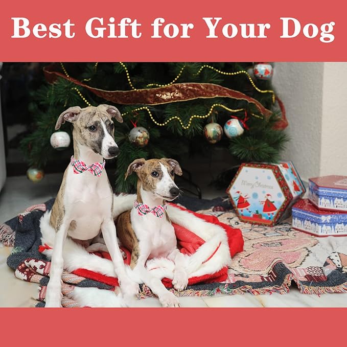 Unique style paws Dog Collar with Bow Pink & Green Plaid Dog Collar Best Gifts for Small Medium Large Dogs -S