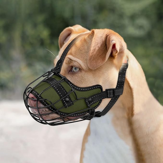 OOPSDOGGY Pitbull Dog Muzzle - Reflective Metal Mask with Wire Basket for Large Dogs - Soft Cage Muzzle to Prevent Biting & Chewing - Adjustable Nylon Straps (Green)