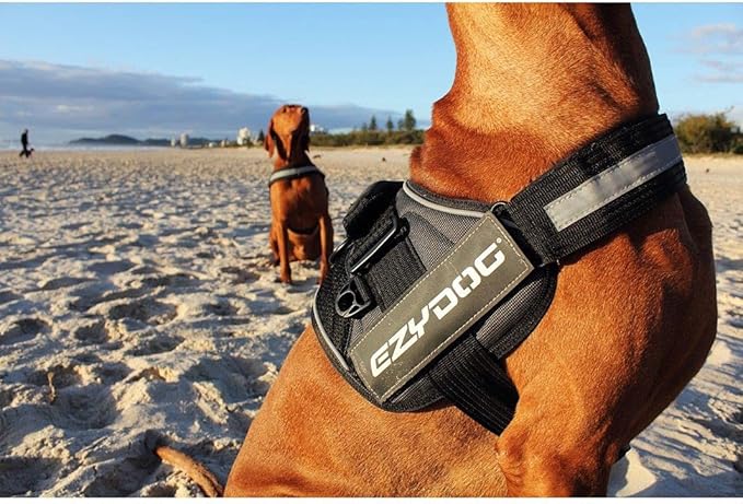 EzyDog Convert Dog Harness – Trail-Ready Rugged Harness for Walking, Hiking & Outdoors with Reflective Piping, Badge Attachment Points, Traffic Handle, & Comfort Lining (XX-Large, Denim)