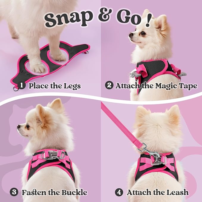 rabbitgoo Dog Harness Small Sized and Leash Set, Step-in Breathable Pet Harness, Soft Walking Reflective Puppy Vest for Small Dogs, Black & Rose Red, XS