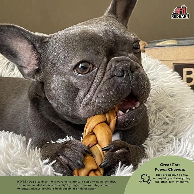 Redbarn Pet Products Recbarn Natural 12" Beef Collagen Braids - Case of 20 Sticks - Long Lasting Low-Odor Alternative to Rawhide & Bully Sticks -Single Ingredient Chew for Medium Large Dogs