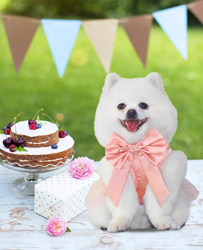 Summer Girl Dog Dress, Dog Silk Tulle Dress, Cute Princess Dogs Dresses with Bow, Lace Pet Birthday Party Outfit Puppy Tutu for Small Dogs, Fancy Puppy Clothes for Chihuahua Teacup Yorkie