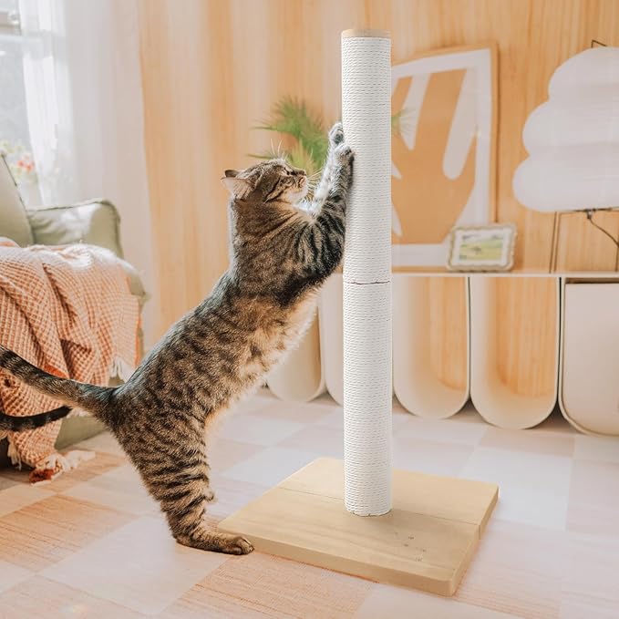 Necoichi 31.5” Tall Cat Scratching Post Kitten Scratcher Paper Rope Scratch Posts Trees with Hanging for Indoor Cats (31.5 inches for Adult Cats, Large, Oak)