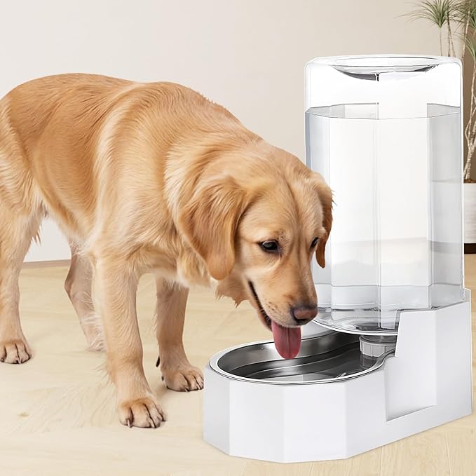 Sfozstra Automatic Pet Water Dispenser: 8L White Gravity Stainless Steel Water Bowl- Without Filter- Angular Water Feeder for for 30-60 LB Senior Pet Dogs with Neck Pain Relief in Living Room Bedroom