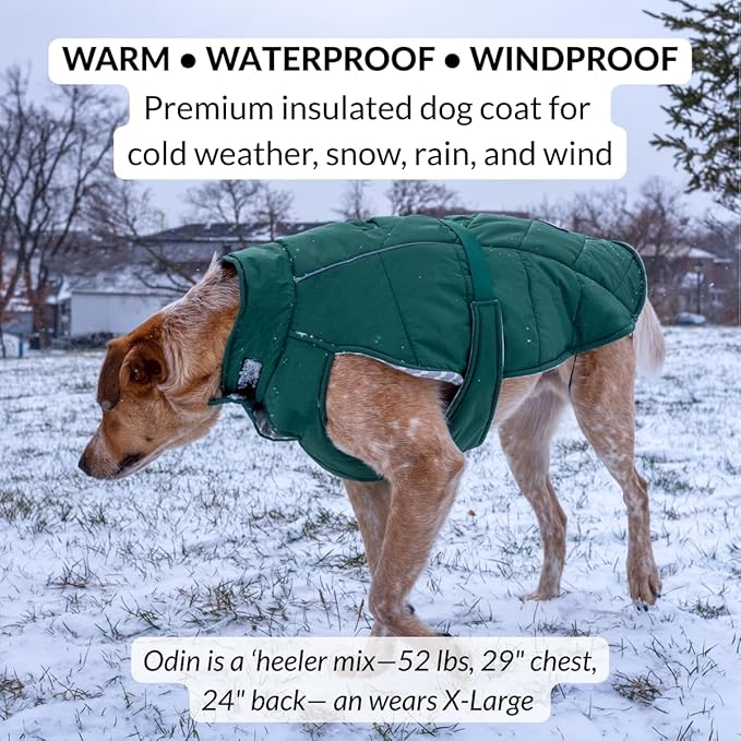 DJANGO Insulated Puffer Dog Jacket with Harness Hole – Warm, Water-Repellent Winter Dog Coat Small Dogs, Dachshunds, Puppies – Adjustable, Reflective Cold Weather Dog Apparel – Lafayette Green, Small