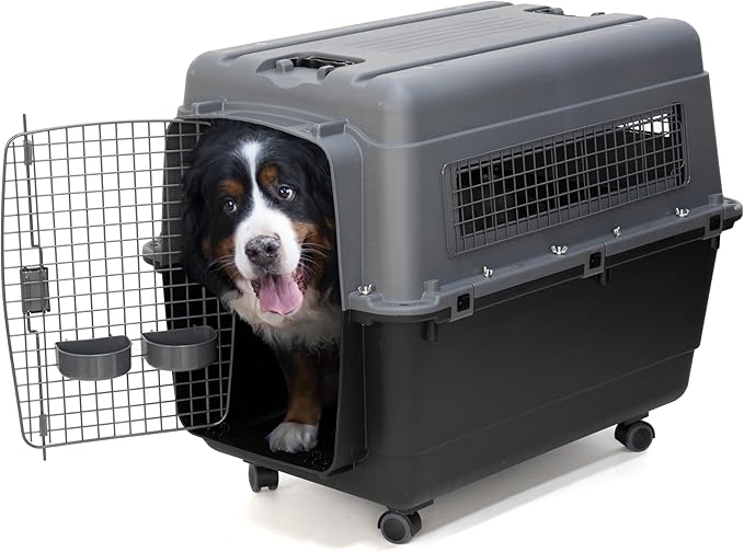 SportPet Designs Plastic Airline Approved Kennels Wire Door Travel Dog Crate, X-Large